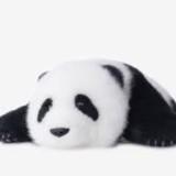 (Category: ) located in . Submitted by panda__panda (Listing ID 1340527995, Image 1). Description: .
