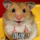 由 plokjgtt (刊登 ID 1384974420，圖片 1) 提交，位於 的 (類別：)，說明：。