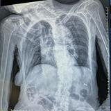 (Category: ) located in . Submitted by ocean_dep (Listing ID 1377960585, Image 1). Description: .