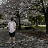 （分類：）位於 。 由 wwjdfung 提交（商品編號 1344659067，圖片 1）。簡介： 。