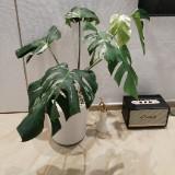 （分類：）位於 。 由 mega293299 提交（商品編號 1278422934，圖片 1）。簡介： 。