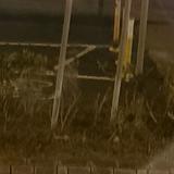 （分類：）位於 。 由 71127114 提交（商品編號 1309260354，圖片 1）。簡介： 。