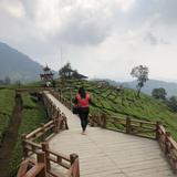 (Kategori: ) berada di . Dikirim oleh by_ima06 (ID iklan 1384000076, Gambar 1). Deskripsi: .