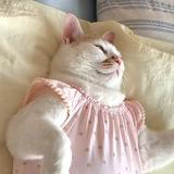 (Category: ) located in . Submitted by lilylily_1y (Listing ID 1447620943, Image 1). Description: .