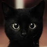 由 kuro._.neko_030 (刊登 ID 1385496098，圖片 1) 提交，位於 的 (類別：)，說明：。