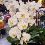 (Category: ) located in . Submitted by chris.is (Listing ID 5174972, Image 1). Description: .