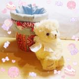 (分類:)位於 。 由 mainegrey 提交(商品編號 1458340245,圖片 1)。簡介: 。