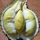 (Kategori: ) berada di . Dikirim oleh icaryo (ID iklan 1469202007, Gambar 1). Deskripsi: .