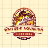 (Category: ) located in . Submitted by wahsehaquarium (Listing ID 1380574859, Image 1). Description: .