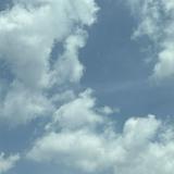 (Category: ) located in . Submitted by soff55 (Listing ID 1380697386, Image 1). Description: .