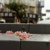 (分類:)位於 。 由 awwwwww12 提交(商品編號 1320544690,圖片 1)。簡介: 。