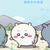 由 e102509320 (刊登 ID 1381745377，圖片 1) 提交，位於 的 (類別：)，說明：。