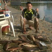 (Category: ) located in . Submitted by match82 (Listing ID 1291087284, Image 1). Description: .