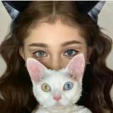 (Category: ) located in . Submitted by kirame.co (Listing ID 1377202413, Image 1). Description: .