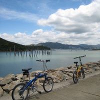 (分類:)位於 。 由 triathlon.zen 提交(商品編號 1445532143,圖片 1)。簡介: 。