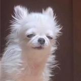 (Category: ) located in . Submitted by ebanoks (Listing ID 1384188898, Image 1). Description: .