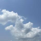 （分類：）位於 。 由 shinebrught 提交（商品編號 1380808254，圖片 1）。簡介： 。