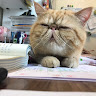 （分類：）位於 。 由 raspberry.u. 提交（商品編號 1379732934，圖片 1）。簡介： 。