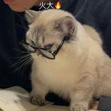 (Kategori: ) berada di . Dikirim oleh lupapake (ID iklan 1327601566, Gambar 1). Deskripsi: .
