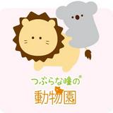（分類：）位於 。 由 sharewithhkers 提交（商品編號 1342936708，圖片 1）。簡介： 。