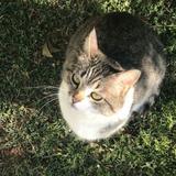 （分類：）位於 。 由 222ayy 提交（商品編號 1367001706，圖片 1）。簡介： 。