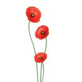 (Kategori: ) berada di . Dikirim oleh poshpoppies (ID iklan 1325074974, Gambar 1). Deskripsi: .