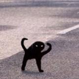 (Category: ) located in . Submitted by du.2222 (Listing ID 1346621045, Image 1). Description: .