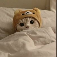 （分類：）位於 。 由 hk_ava0632501 提交（商品編號 1363483277，圖片 1）。簡介： 。