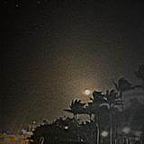 (Category: ) located in . Submitted by p4ndaaa (Listing ID 1457452394, Image 1). Description: .