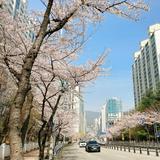 由 pinnpinc (刊登 ID 1305168121，圖片 1) 提交，位於 的 (類別：)，說明：。