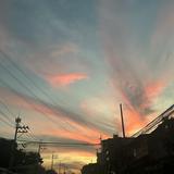 (Category: ) located in . Submitted by joycali (Listing ID 1384926750, Image 1). Description: .