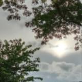 (Category: ) located in . Submitted by lynn0730 (Listing ID 1384103626, Image 1). Description: .