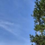 (Category: ) located in . Submitted by cosldpdy (Listing ID 1324137799, Image 1). Description: .