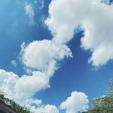 （分類：）位於 。 由 ma.bibliotheque 提交（商品編號 131444993，圖片 1）。簡介： 。