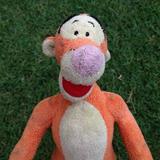 (Category: ) located in . Submitted by wong_tigger (Listing ID 1466892345, Image 1). Description: .