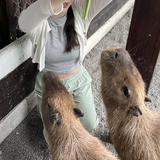 由 yungkiiyau29361 (刊登 ID 1380360877，圖片 1) 提交，位於 的 (類別：)，說明：。