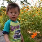 （分類：）位於 。 由 jwspillow 提交（商品編號 1305431304，圖片 1）。簡介： 。