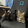 (Category: ) located in . Submitted by limpbiscuit (Listing ID 1341661316, Image 1). Description: .