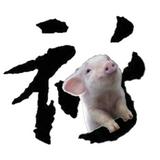 由 littlepig29 (刊登 ID 1386729448，圖片 1) 提交，位於 的 (類別：)，說明：。