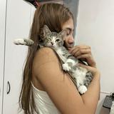 (Category: ) located in . Submitted by claraaa1127 (Listing ID 1376537568, Image 1). Description: .
