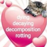 (Category: ) located in . Submitted by crow_____ (Listing ID 1460856178, Image 1). Description: .