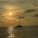 (Category: ) located in . Submitted by dji08022370776 (Listing ID 1385062644, Image 1). Description: .