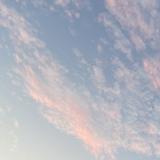 由 mumu____ (刊登 ID 1382376770，圖片 1) 提交，位於 的 (類別：)，說明：。