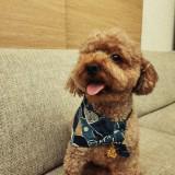 （分類：）位於 。 由 _kattie 提交（商品編號 1287706637，圖片 1）。簡介： 。