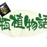 由 greatgood61245 (刊登 ID 1304376195，圖片 1) 提交，位於 的 (類別：)，說明：。