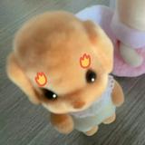 （分類：）位於 。 由 sekkkkkk 提交（商品編號 1367980180，圖片 1）。簡介： 。