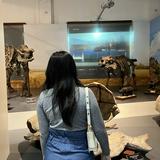 (Kategori: ) berada di . Dikirim oleh namukami12 (ID iklan 1377896712, Gambar 1). Deskripsi: .