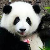 (分類:)位於 。 由 sandmpluto 提交(商品編號 1450504180,圖片 1)。簡介: 。