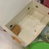 (Category: ) located in . Submitted by idlpeanutbutternjam (Listing ID 1382732621, Image 1). Description: .