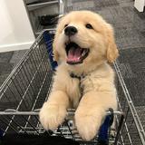 （分類：）位於 。 由 jumbo0504 提交（商品編號 1255225623，圖片 1）。簡介： 。